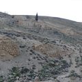 Jordanie - la forteresse de Shaubak