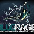 Opération Blue Rage contre la rage de détruire