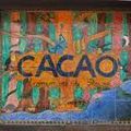 U. Cacao