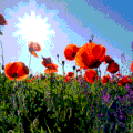 ♪"J'ai descendu dans mon jardin pour y cueillir