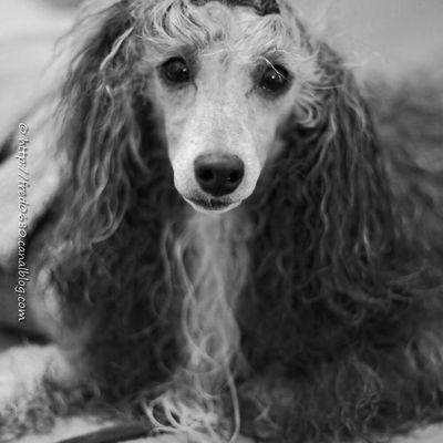 La pluie est de retour ! Rain is back !