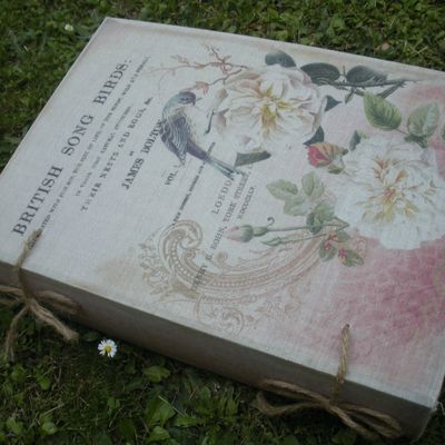 Les oiseaux sont aux rendez-vous!