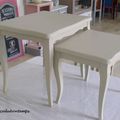 2 PETITES TABLES