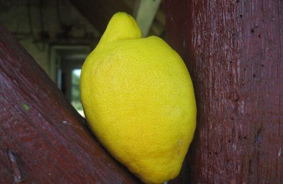tarte au citron