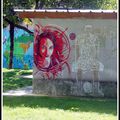 Ivry sur Seine - A la poursuite de C215