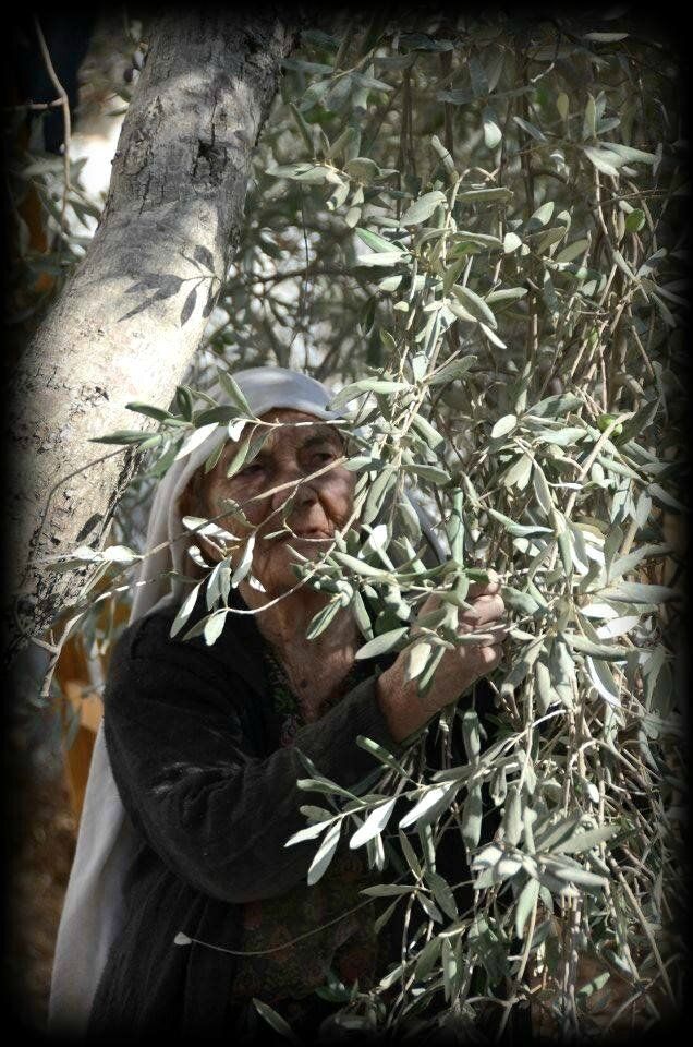 SHLOMO SAND, PALESTINE, ANTISIONISME, ANTISEMITISME, IGNORANCE, BÊTISE, PRESIDENT, FRANCE,NETANYAHU, POLITIQUE, INTERÊTS, GAZA