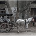 Le 21e siècle, à Bénarès, Uttar Pradesh, Inde.