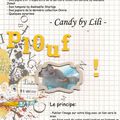 Blog candy by Lili