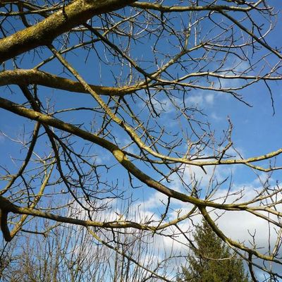 changement d'heure...