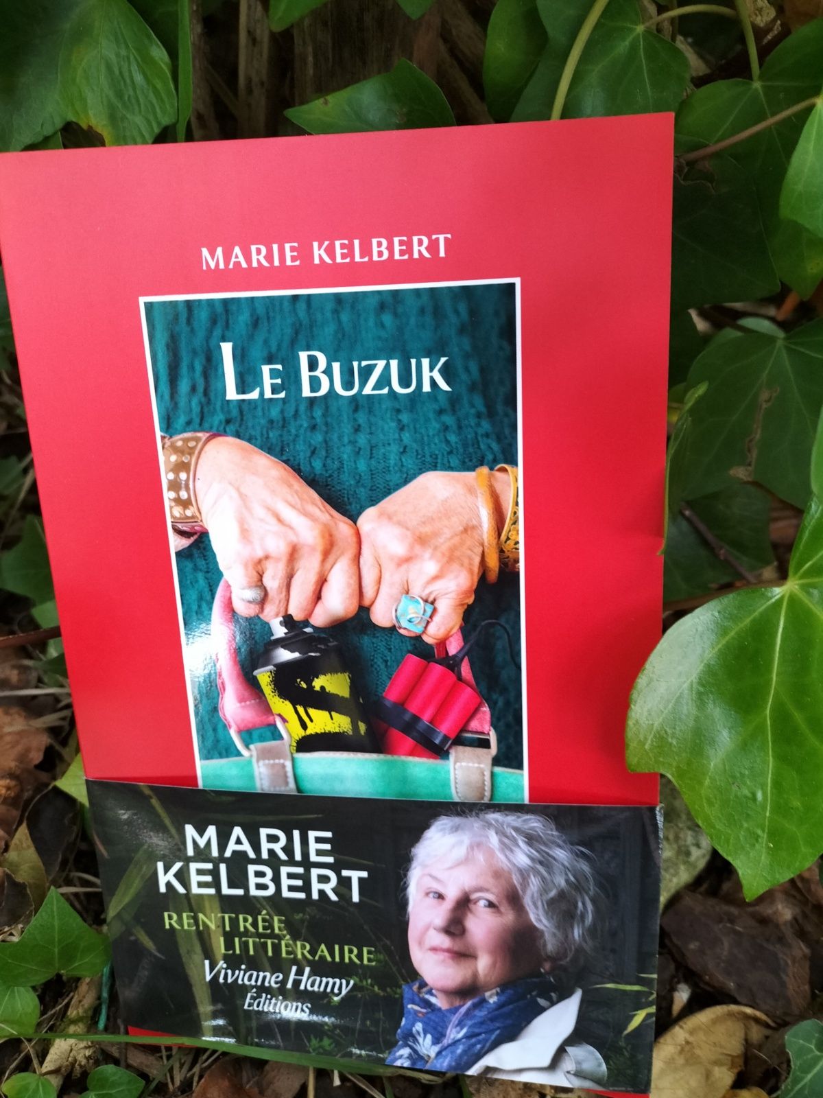 Le Buzuk Marie Kelbert Éditions Viviane Hamy L'élégancedeslivres