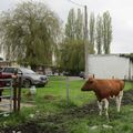 29 avril 2023 - Visite parisienne  au Borinage 