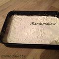 Marshmallow 