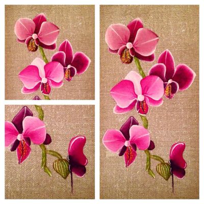 Ma jolie orchidée...