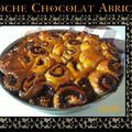 Brioche Chocolat Abricot