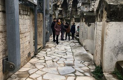 Les Arènes de Nîmes 5