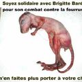 Solidarité