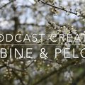 Podcast créatif - Ep5/saison 2018 - Le jour du A