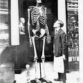 1908: 14 squelettes géants de plus de 9 pieds de hauteur trouvés à Santa Monica Beach en Californie