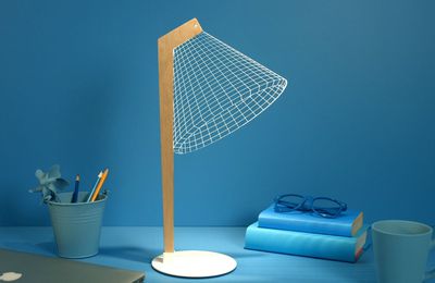 petit coup de coeur pour ces lampes ... 