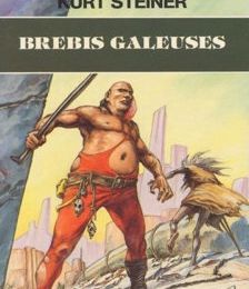 BREBIS GALEUSES - KURT STEINER