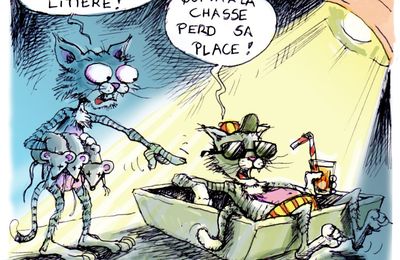 Une dent contre les chats squatteurs 