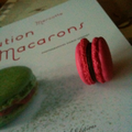 Atelier macarons en Franche-Comté !!