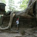 Angkor, Nature