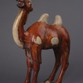 Sancai-glazed camel, Tang dynasty (618-907)