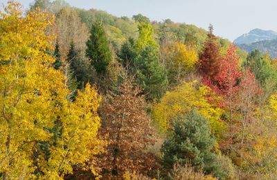 Qu'ai-je envie de vivre ?