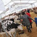 ARGENTAN: 7ème fête de la Normandie les 7 et 8 mars 2020