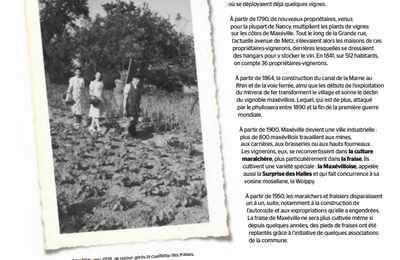 Des Vignes Aux Fraises JDM n°4 mars-avril 2015