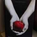 * Fascination - Stephenie Meyer