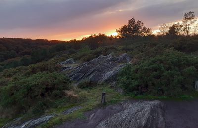 Un automne en Brocéliande...