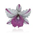 An attractive coloured sapphire and diamond 'orchid' brooch, by Kholoud Osama Kurdi for Toujours Jewellery
