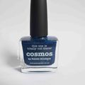 Picture pOlish - Cosmos