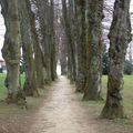 Le Parc des Cèdres à Beaucourt