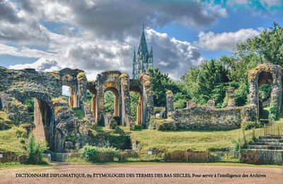 DICTIONNAIRE DIPLOMATIQUE, 0u ÉTYMOLOGIES DES TERMES DES BAS SIECLES, Pour servir à l'intelligence des Archives