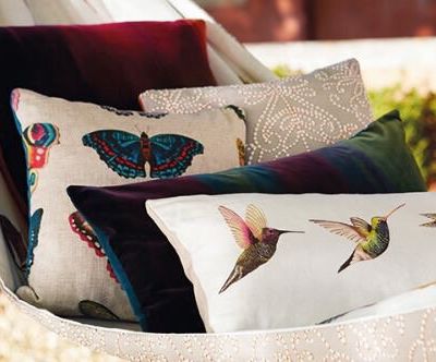 une nouvelle année avec de nouveaux cous