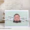 Cartes de Voeux LITTLE SCRAP suite....