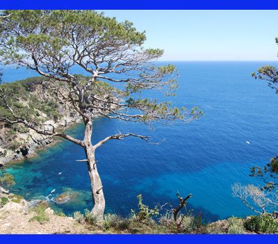 PERIPLES PASSE ET A VENIR : Porquerolles, Dijon, Genève, Volvic, Ariège, Haute- Garonne, Toulon- Agen