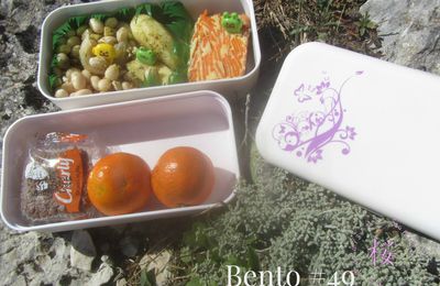 Bento #49