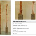 Histoire des arts à la Tate Modern : l'Arbre de douze mètres de Giuseppe Penone