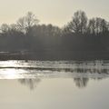 Photos un poil givrées prises à Rennes le 10 janvier 2021 (4)