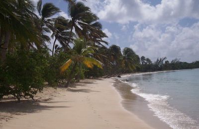 Petit séjour en Martinique