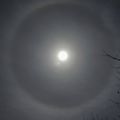 LUNE/HALO