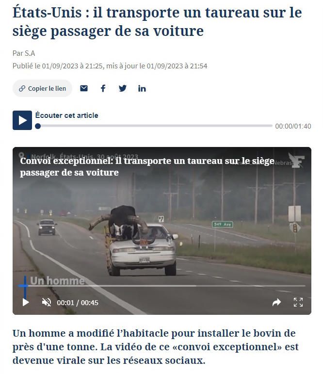 La place du mort... du taureau géant