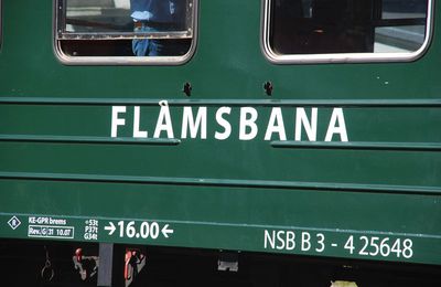 Flamsbana, In Norway #6