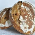 Pain rustique aux fruits secs et la grande disparition/ Rustic nut and raisin bread and the great disappearance 