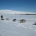 Un hiver de rêve