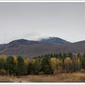 La légende du mélèze - The legend of larch